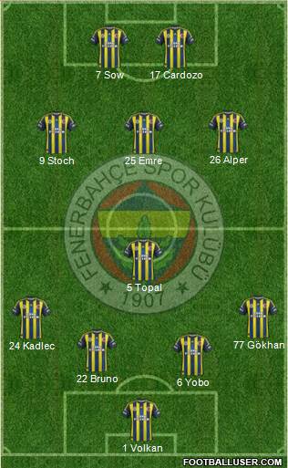 Fenerbahçe SK Formation 2013