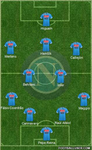 Napoli Formation 2013