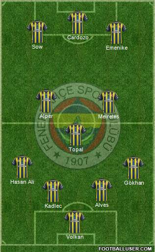 Fenerbahçe SK Formation 2013
