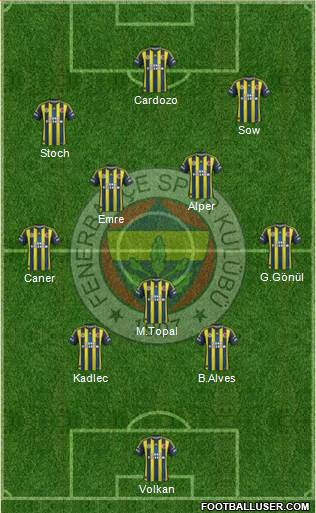 Fenerbahçe SK Formation 2013