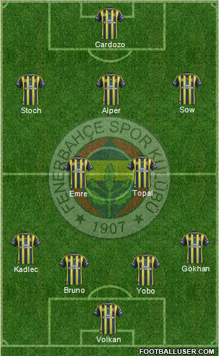 Fenerbahçe SK Formation 2013