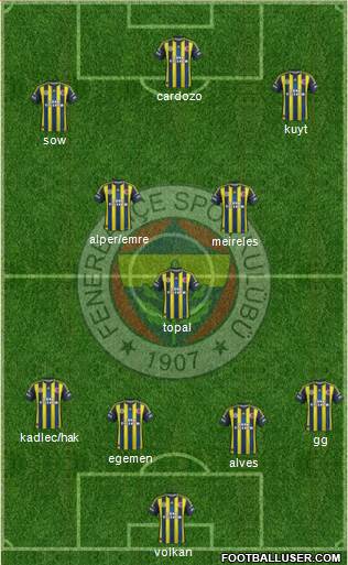 Fenerbahçe SK Formation 2013