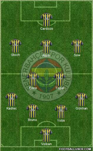 Fenerbahçe SK Formation 2013