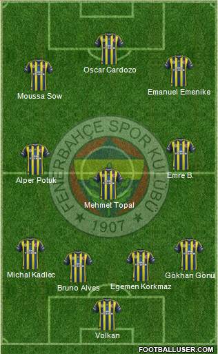 Fenerbahçe SK Formation 2013