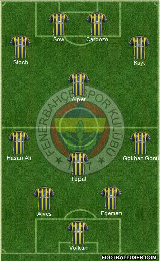 Fenerbahçe SK Formation 2013