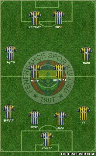 Fenerbahçe SK Formation 2013