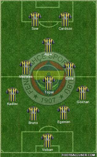 Fenerbahçe SK Formation 2013