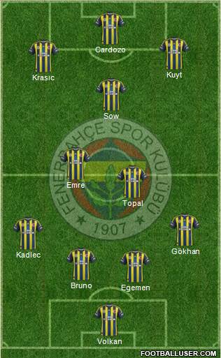 Fenerbahçe SK Formation 2013