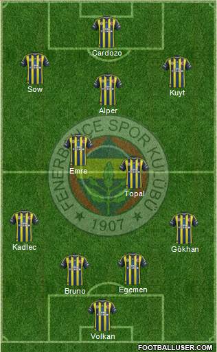 Fenerbahçe SK Formation 2013