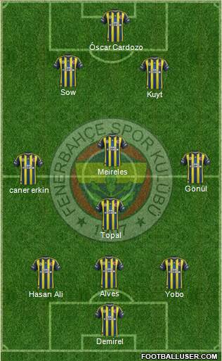 Fenerbahçe SK Formation 2013