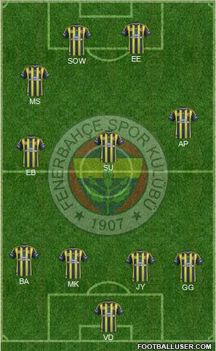 Fenerbahçe SK Formation 2013