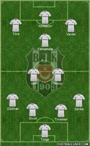 Besiktas JK Formation 2013