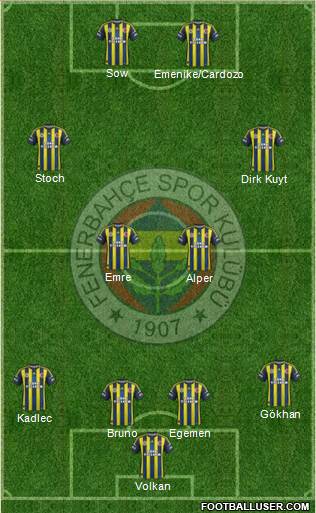 Fenerbahçe SK Formation 2013