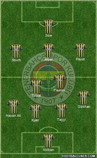 Fenerbahçe SK Formation 2013