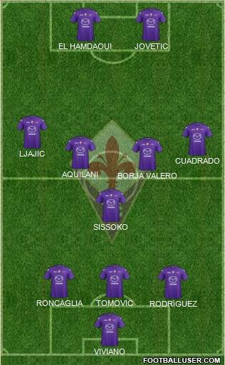 Fiorentina Formation 2013