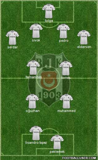 Besiktas JK Formation 2013