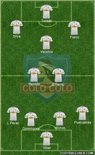 CSD Colo Colo Formation 2013