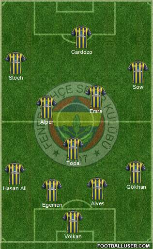 Fenerbahçe SK Formation 2013