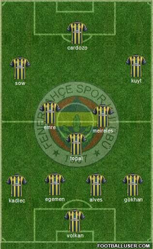Fenerbahçe SK Formation 2013
