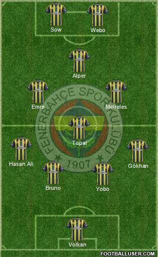Fenerbahçe SK Formation 2013