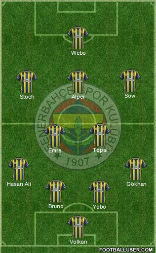 Fenerbahçe SK Formation 2013