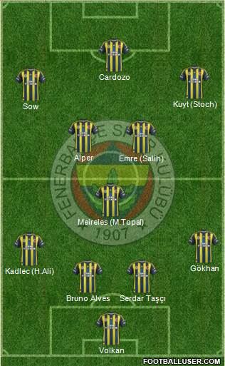 Fenerbahçe SK Formation 2013