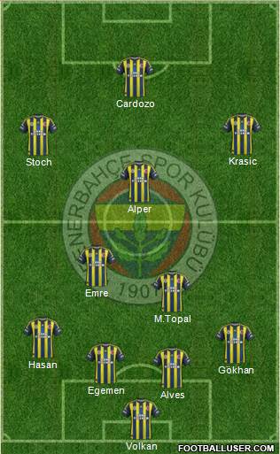 Fenerbahçe SK Formation 2013