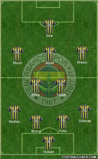 Fenerbahçe SK Formation 2013