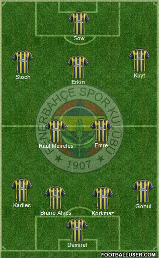 Fenerbahçe SK Formation 2013