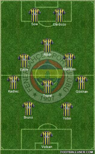 Fenerbahçe SK Formation 2013