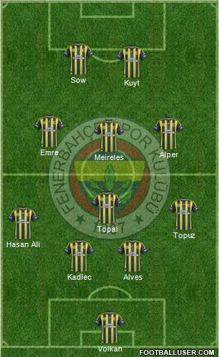 Fenerbahçe SK Formation 2013