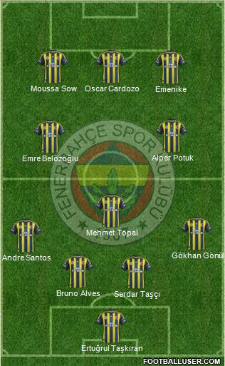 Fenerbahçe SK Formation 2013