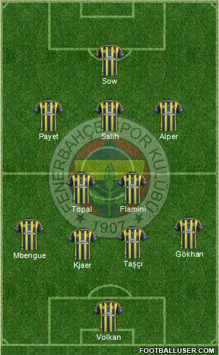 Fenerbahçe SK Formation 2013