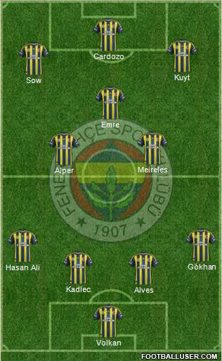Fenerbahçe SK Formation 2013