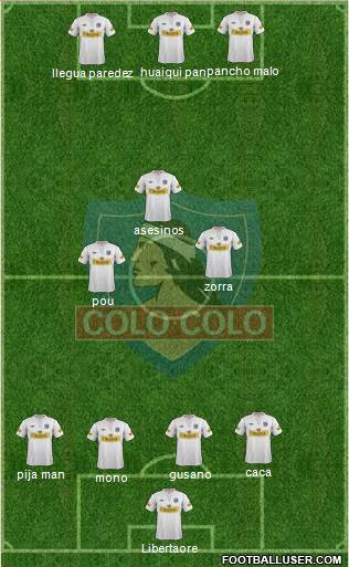 CSD Colo Colo Formation 2013