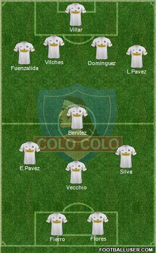 CSD Colo Colo Formation 2013
