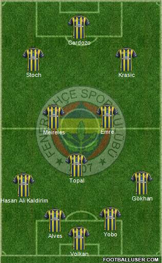 Fenerbahçe SK Formation 2013