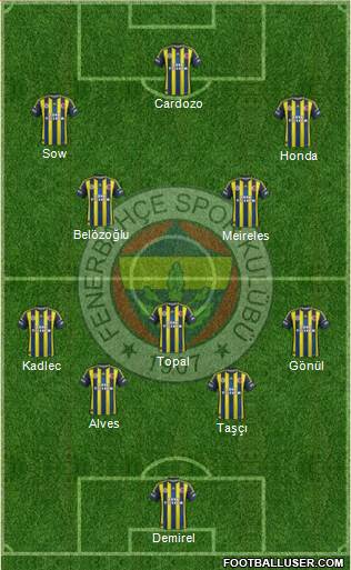 Fenerbahçe SK Formation 2013
