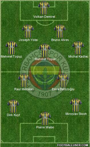 Fenerbahçe SK Formation 2013