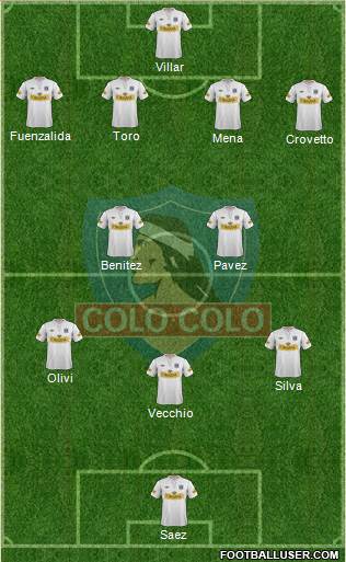 CSD Colo Colo Formation 2013