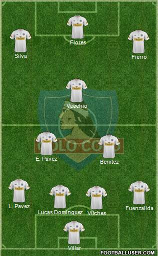 CSD Colo Colo Formation 2013