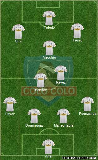 CSD Colo Colo Formation 2013