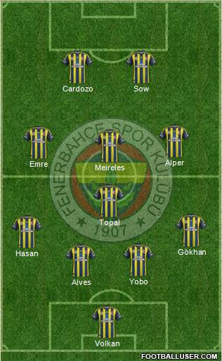 Fenerbahçe SK Formation 2013