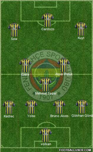 Fenerbahçe SK Formation 2013