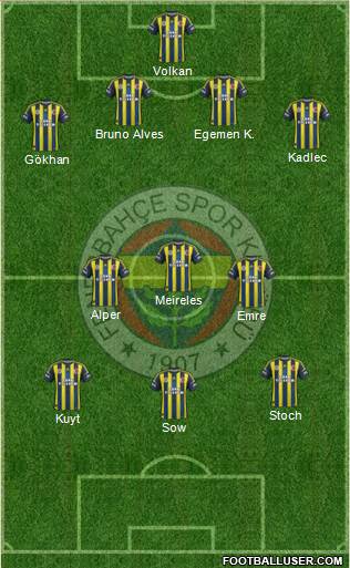 Fenerbahçe SK Formation 2013