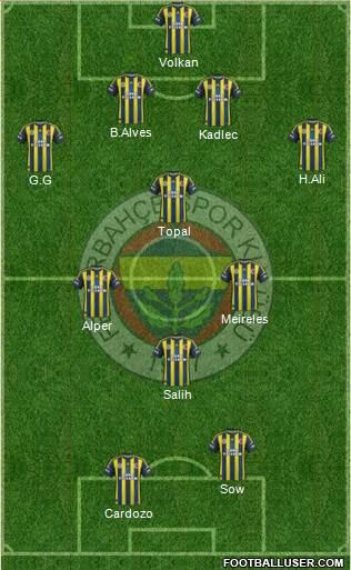 Fenerbahçe SK Formation 2013