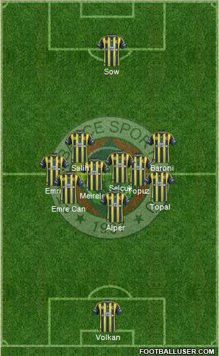 Fenerbahçe SK Formation 2013