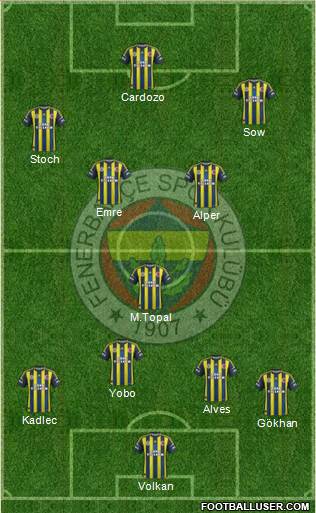 Fenerbahçe SK Formation 2013