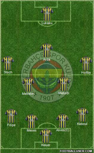 Fenerbahçe SK Formation 2013