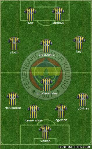 Fenerbahçe SK Formation 2013